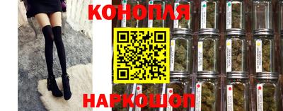 прущие грибы Первоуральск