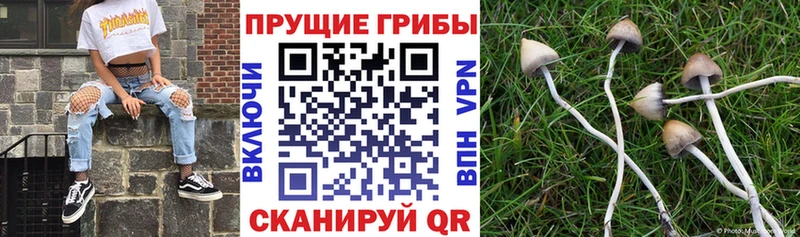 дарнет шоп  МЕГА сайт  Галлюциногенные грибы GOLDEN TEACHER  Южноуральск 