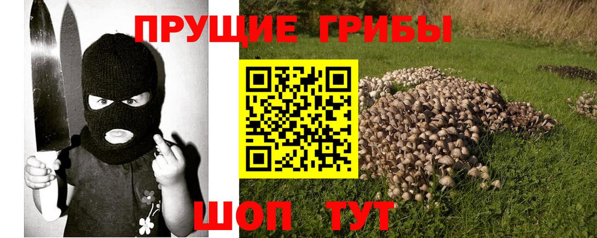 Южноуральск  Псилоцибиновые грибы мухоморы  Вход с VPN 