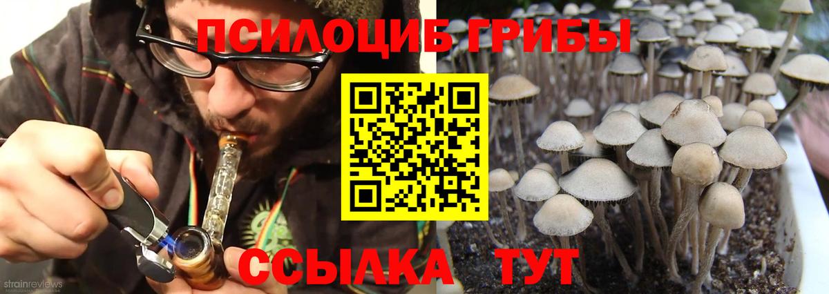 Псилоцибиновые грибы GOLDEN TEACHER Южноуральск